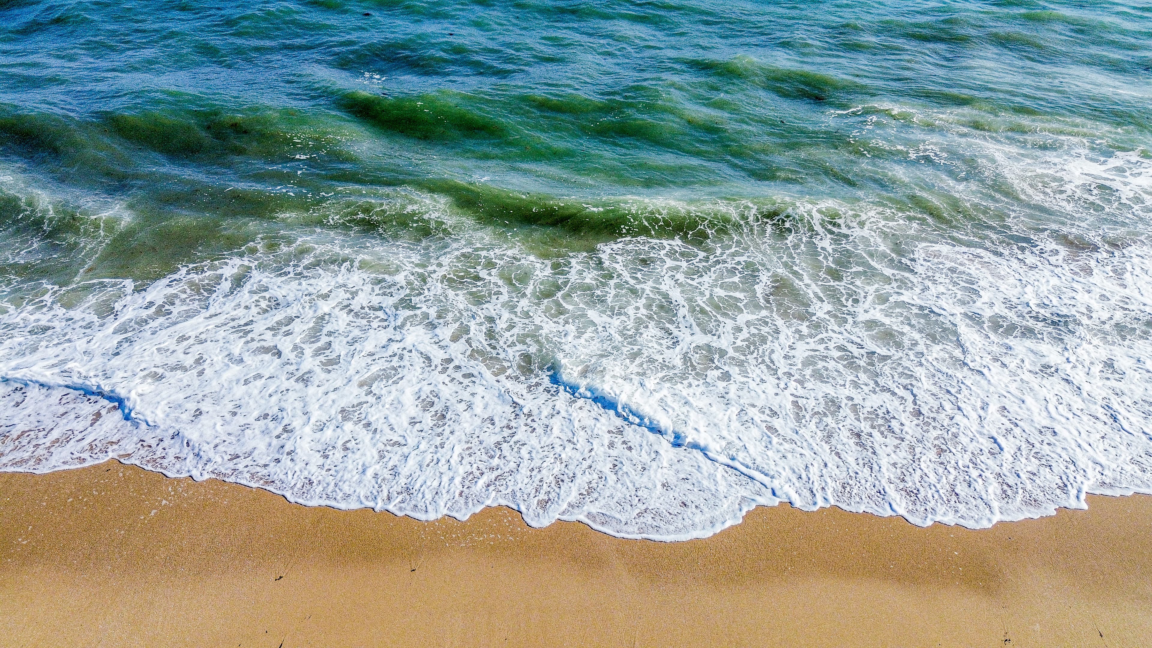 Rocky point beach top